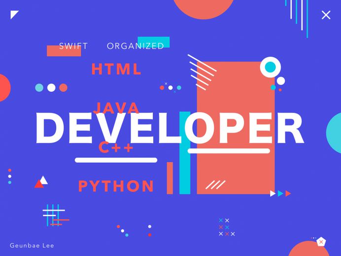 Developer – colorful poster exploration by Geunbae "GB" Lee