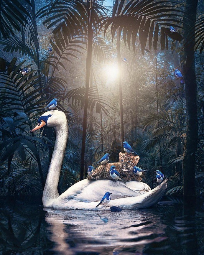 Surreal and Dreamlike Photo Manipulations by Andreas Häggkvist