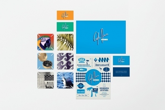 Costa Nueva - SAVVY #branding #costa #nueva #studio #monterrey #savvy