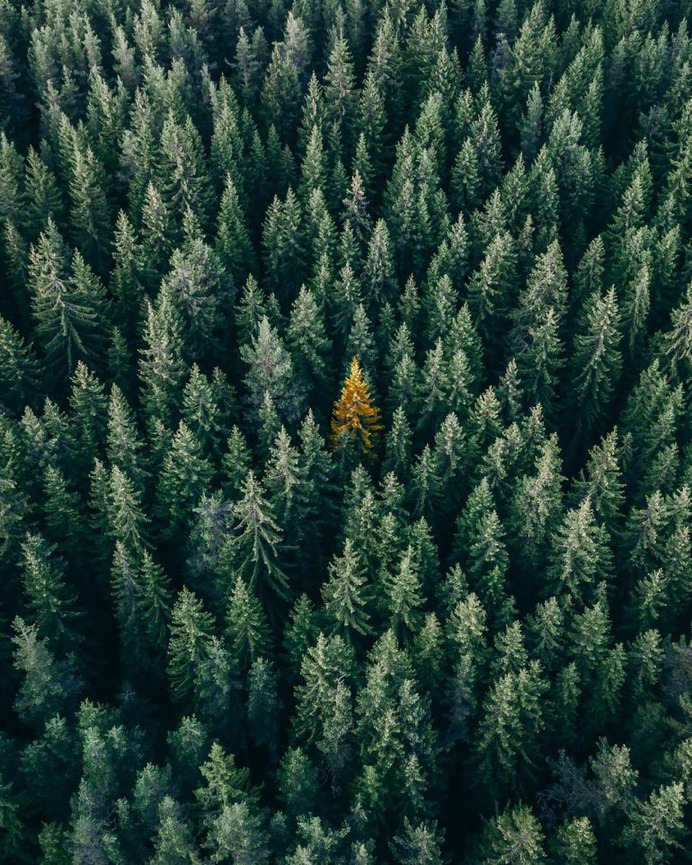 Autumn loading, Bulgaria.