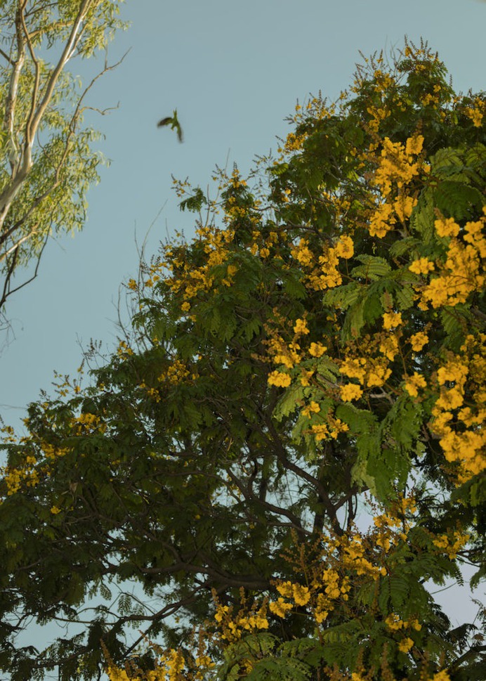Neha Hirve frames her past and present – British Journal of Photography