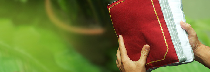Megalodesign LivrodosSonhos #green #red #color #design #book #dream #sleep #gift #pillow #megalodesign #brasil #ribbon #sao #megalo #brazil #dreams #paulo