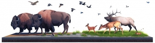 Paintings - #cross #section #animals