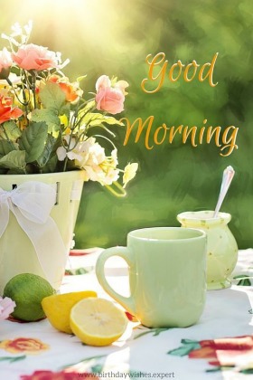 60 Good Morning Images with Beautiful Flowers [Updated 2019] - Good Morning