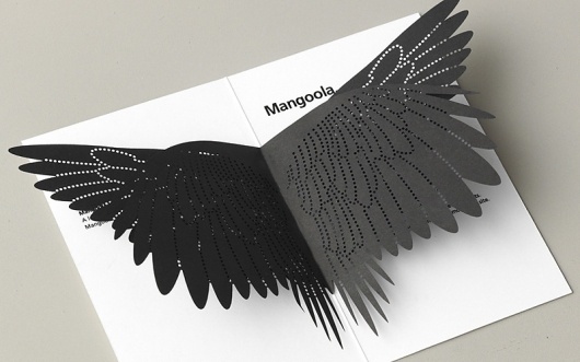 FPO: Xstrata Coal Materials #card #print #foldout