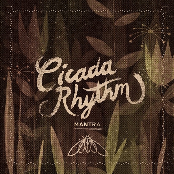 Cicada_main #packaging
