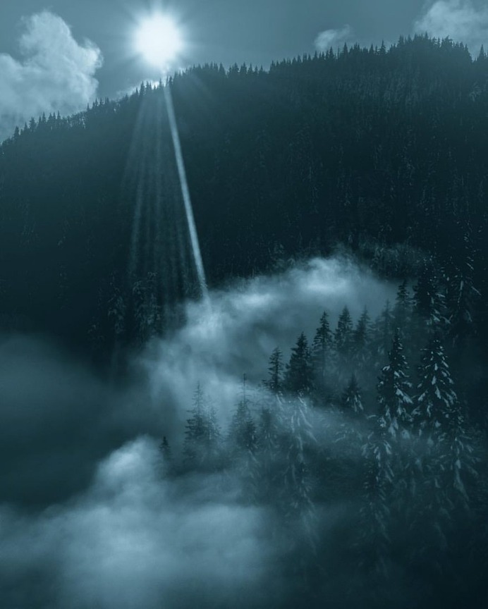 Breathtaking Moody and Mysterious Forest Photography by Dylan Furst