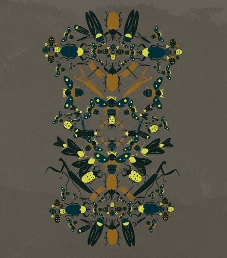 insekta mood : Cristian Grossi illustrator and creative designer #insects #pinko #italian #illustration #insekta #fashion #grossi #cristian