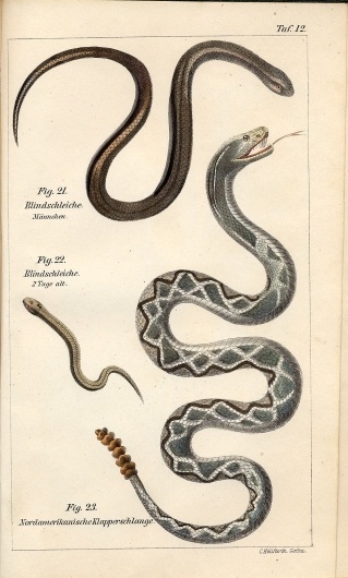 SIL-007-504-12.jpg (JPEG Image, 1000 × 1660 pixels) - Scaled (49%)