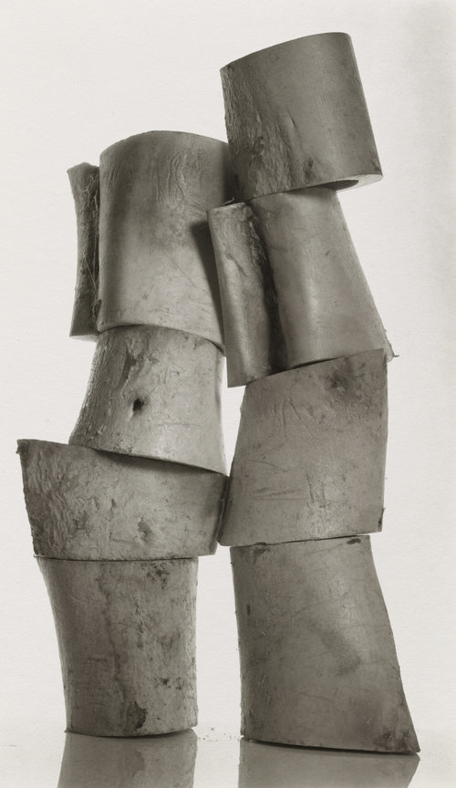 Edifice , New York, 1979 Platinum-palladium print © The Irving Penn Foundation