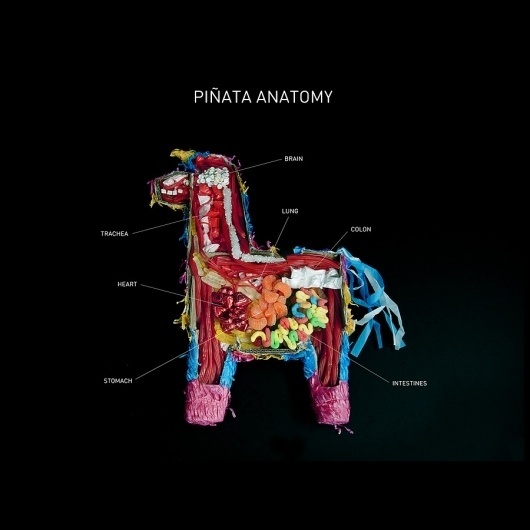 Piñata Anatomy - Carmichael Collective #candy #product #object #anatomy