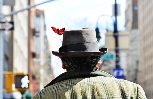 JAK & JIL BLOG #butterfly #man #photography