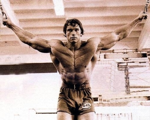 Russian Carpet: Daily inspiration, trends, mood board. Architecture, art, design, fashion, photography. #inspiration #muscle #bodybuilding #russian #brain #photography #carpet #sweeties