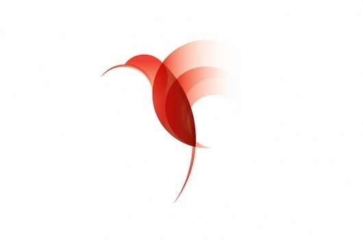 Face. #mexico #face #designbyface #bird