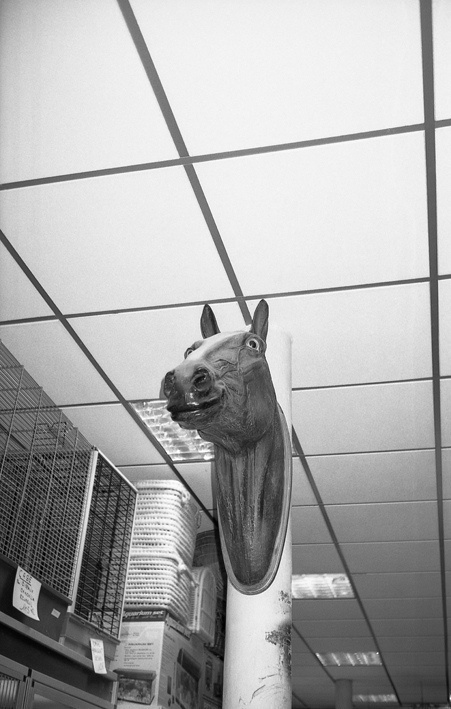 photo #sculpture #horse