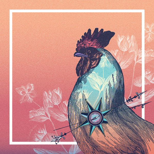 Galinho on Behance #rooster #bird #cock #vintage #gradient #poster #collage