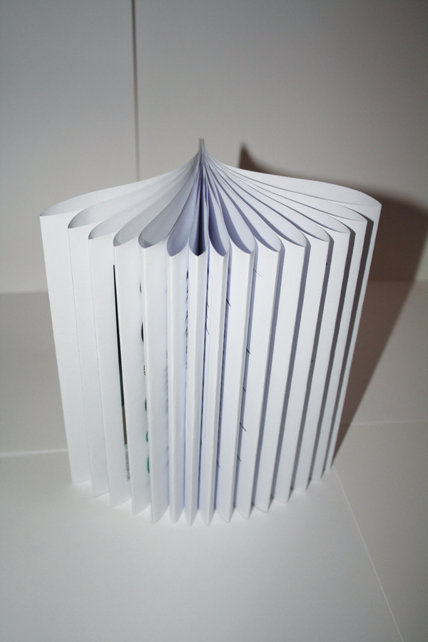 Self Promotion #clips #report #fan #booklet #leaflet #typography