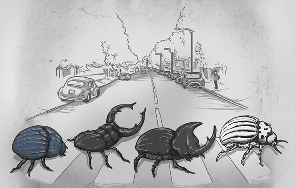 The Beetles - Alex Solis #alex #funny #beetles #solis