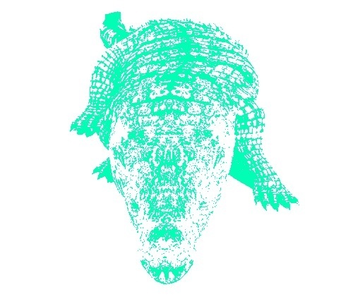 THE INTERGALACTIC JETSET #alligator