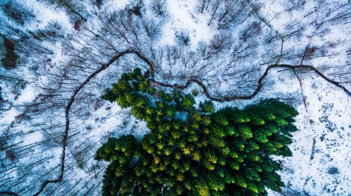 Winners of The Dronestagram's Third Aerial Photography Contest
