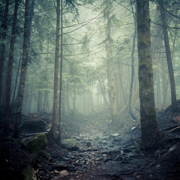 Photography by Andy Grellmann #inspration #photography #art