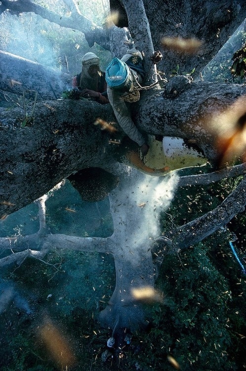http://www.ericvalli.com/index.php?/stories/jungle-nomads/ #eric #nomads #valli #jungle