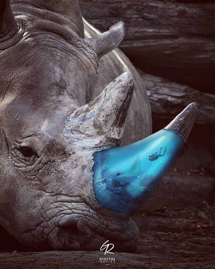 Dreamlike and Playful Photo Manipulations by Guillaume Robbe