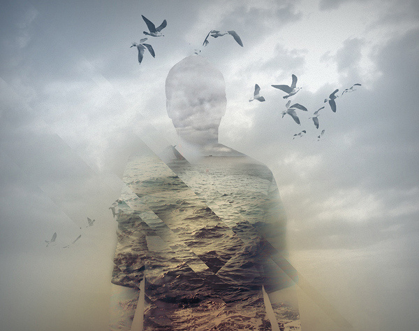Avatar #man #fog #seagulls