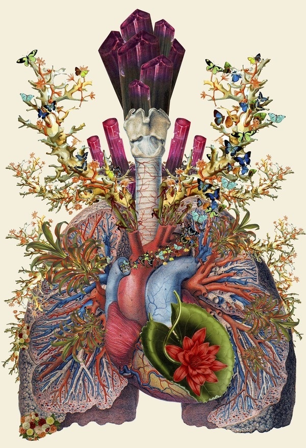 Anatomical Collages by Travis BedelMarch 14 #illustration #collage #anatomy #art