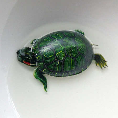 Beautiful 3D Art paintings by Keng Lye