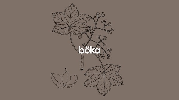 Böka by Arnaud Mercier #trademark #logo #simple #foliage #type