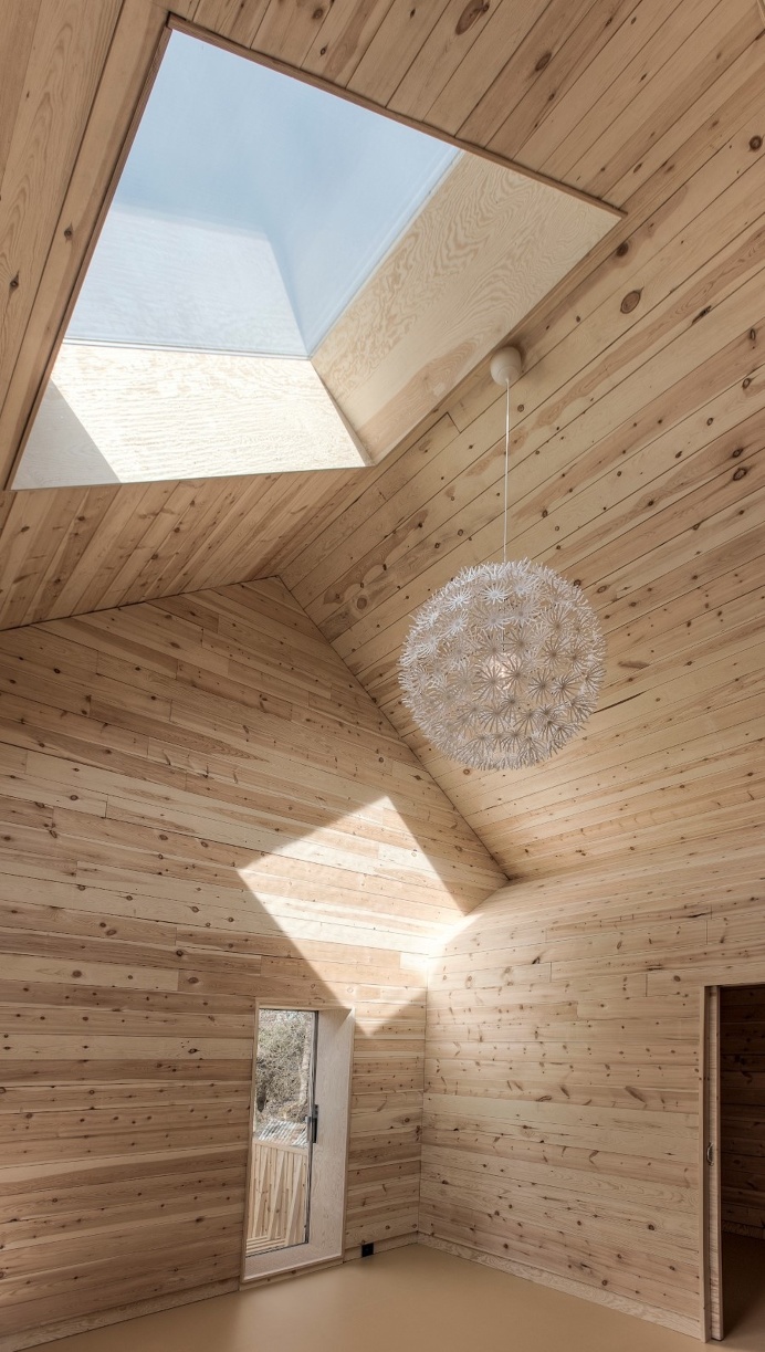Modern Wooden Family House