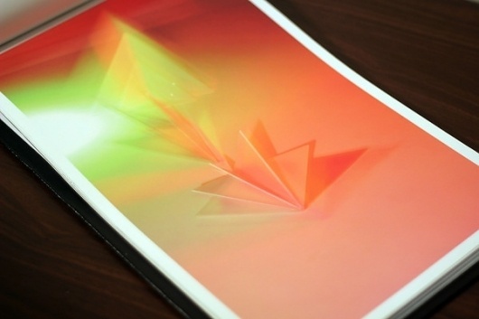 Libro Experimental on the Behance Network #morphology #photography #experimental #book