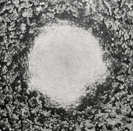 Graphite drawing by Gregory Brellochs #graphite #gregory #drawing #brellochs