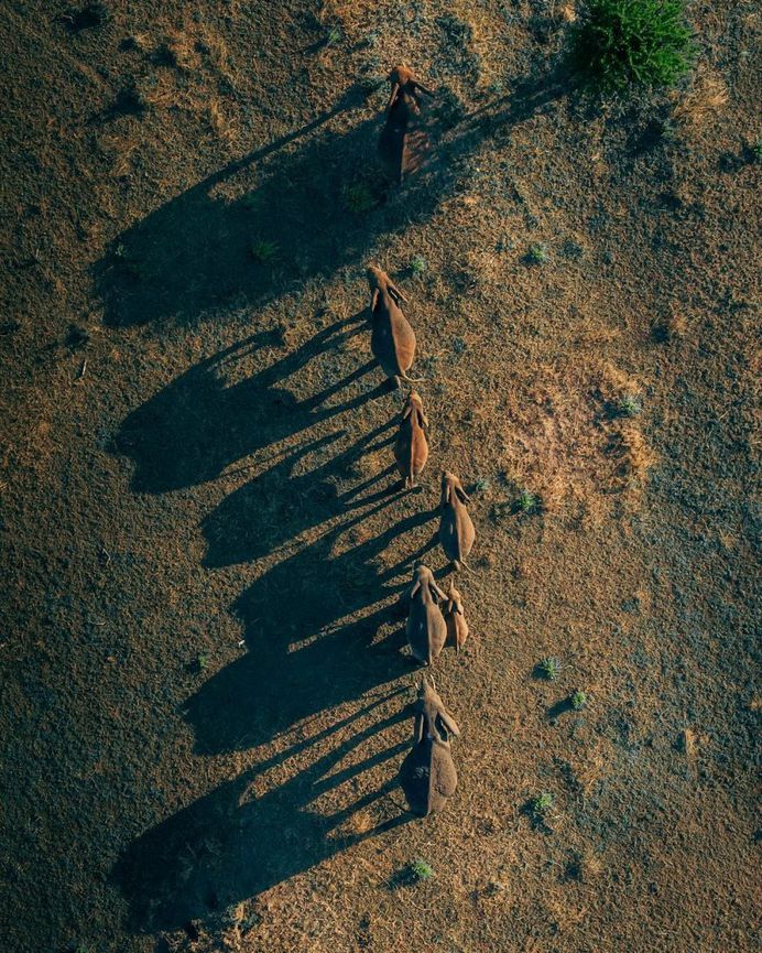 Tanzania From Above: Stunning Drone Photography by Martin Sanchez