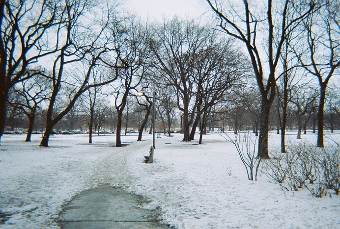 disposd #photography #chicago #disposable