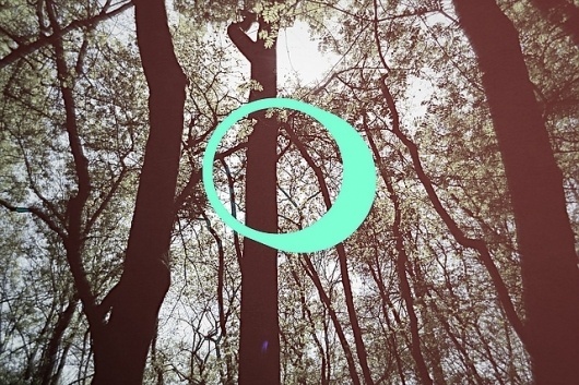 B.D.S. | Flickr – Condivisione di foto! #design #graphic #landscape #christianconlh #photography #circle #light #green