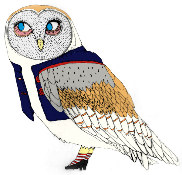 The birds #birds #illustration #owl #animals