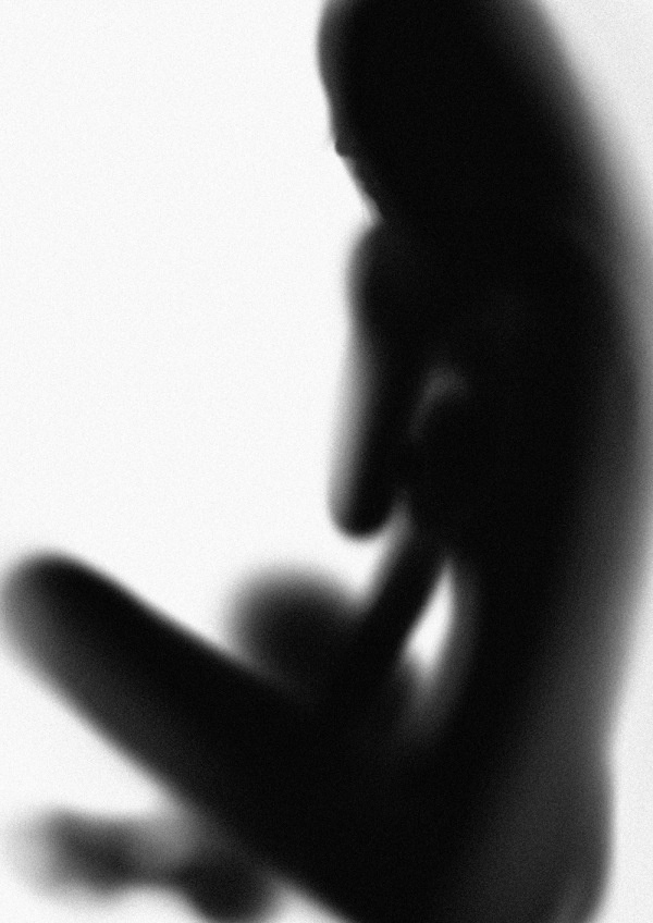 Clement Balavoine | PICDIT