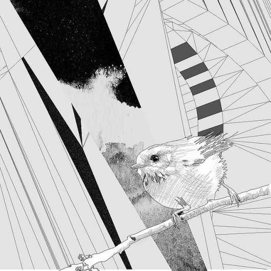 Flickr: Your Photostream #white #gabriel #pulecio #black #bird #inks #lustix