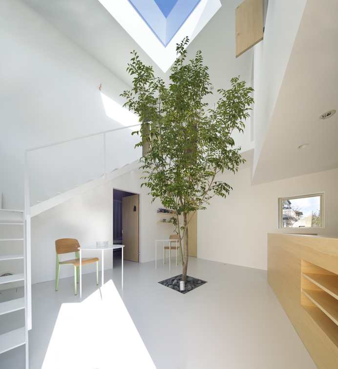Healing Salon Forest