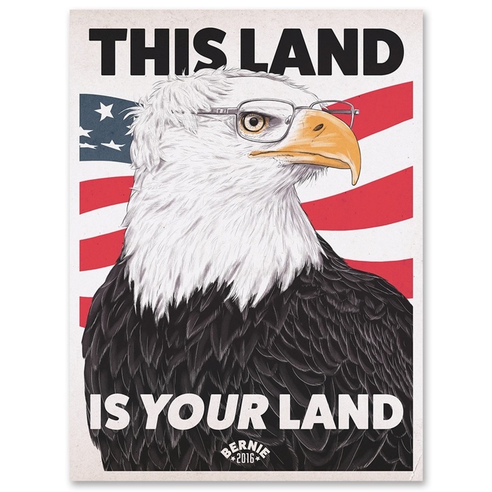 This Land is Your Land #BernieSanders #FeelTheBern #BaldEagle #America #USA #2016 #election #campaign
