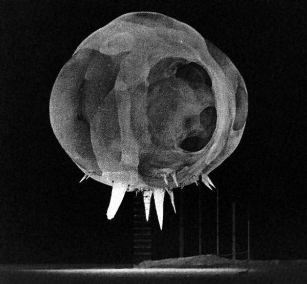 Geekologie - Gadgets, Gizmos, and Awesome #explosion #white #black #nuclear #and #millisecond
