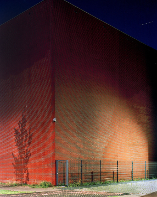 Sander Meisner | PICDIT