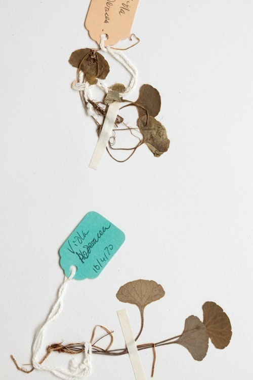 tags, labels #tags