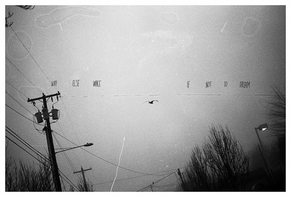 THE NEW FIEND | ISSUE ONE | SUMMER MMXII #design #fiend #the #bird #film #new