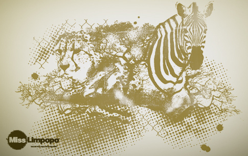 Miss Limpopo Identity #africa #design #graphic #identity #logo