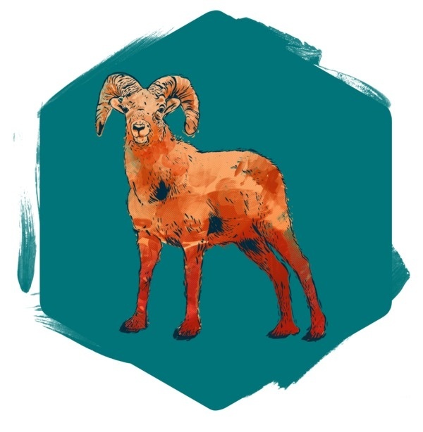 illustration on the Behance Network #print #hand #shirt #drawn #tee #animal