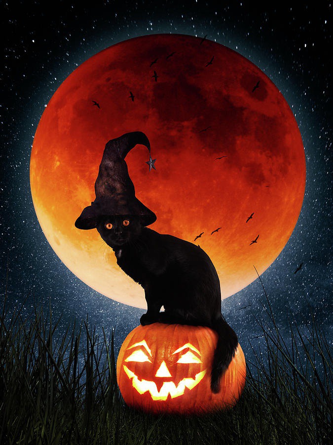 beginner easy halloween paintings & paint by numbers #painting
