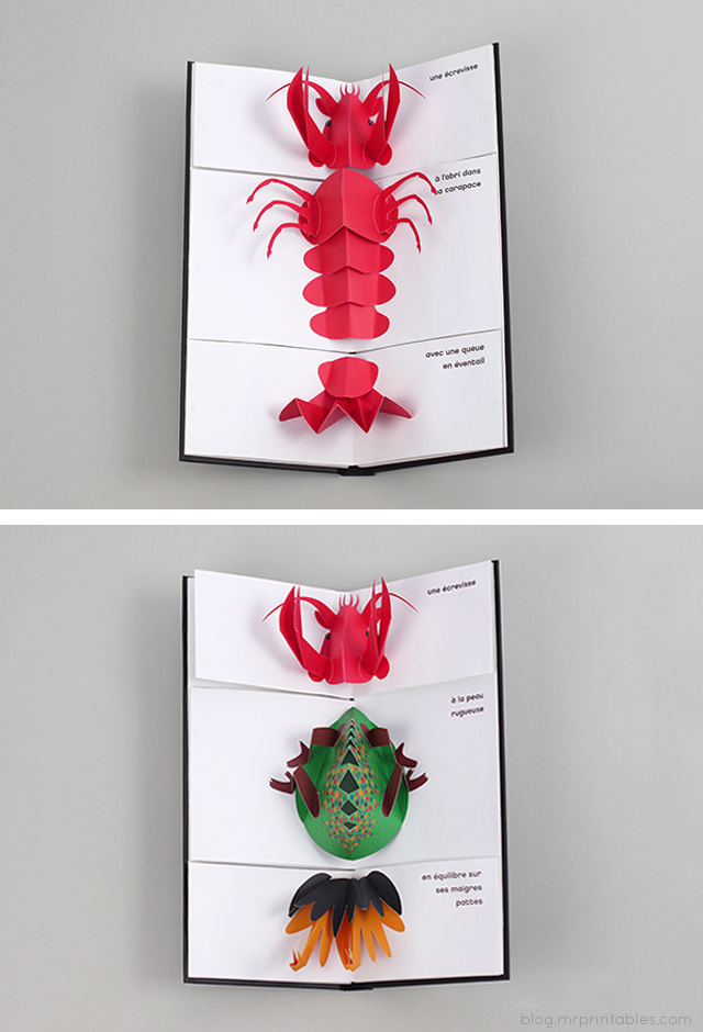 Animal Carnival #pop-up book #animals #paper cut